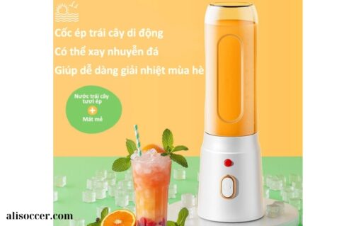 Máy Xay Hoa Quả Cầm Tay (1)